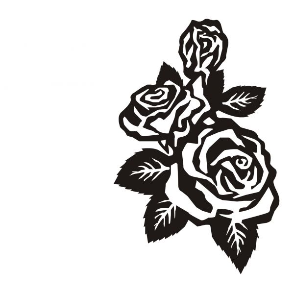Roseira Preto/Branco