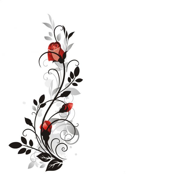 Rosas
