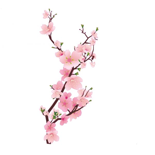 Ramo Floral