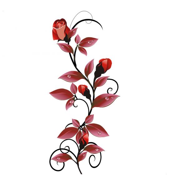 Rosas