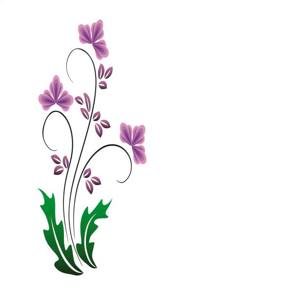 Flores Lilas