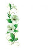 Flores Brancas