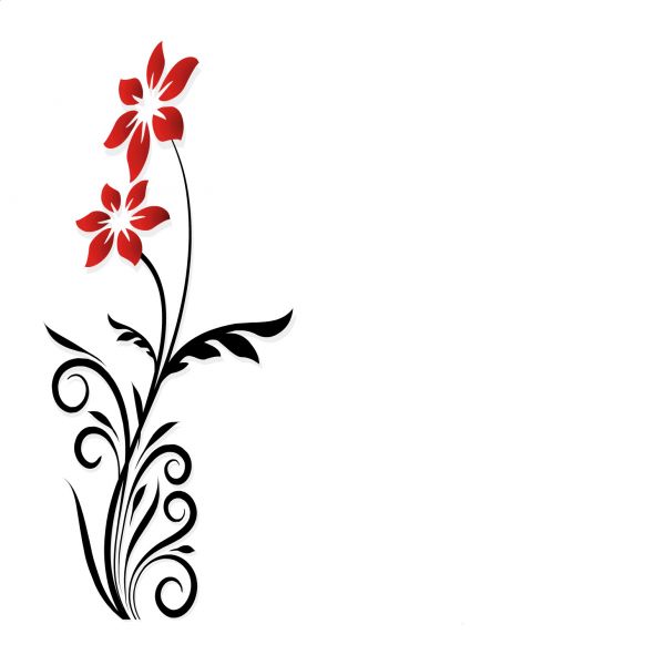 Flores Vermelhas