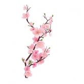 Ramo Floral